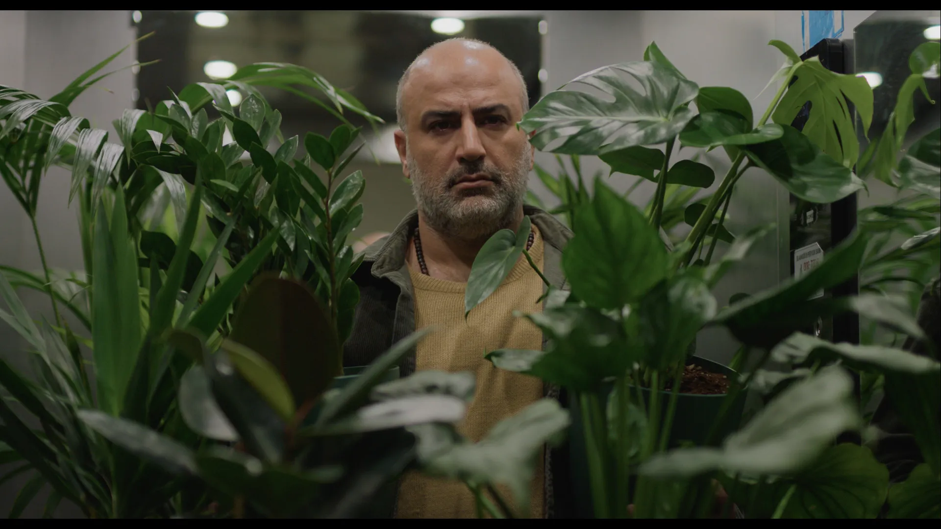 Venice Film Festival to Showcase Iranian War Dramas