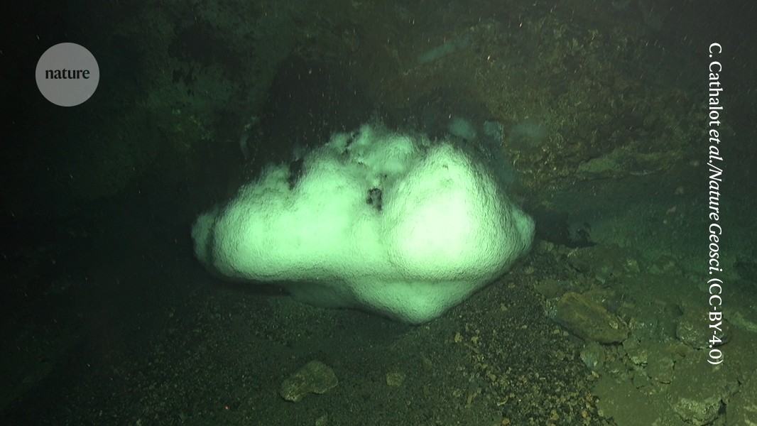 Volcanic Magma Forms Domes on Sea Floor