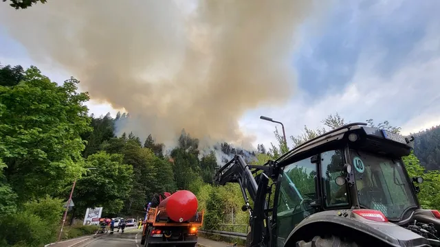 Waldbrände in Belgien und NRW: Evakuierungen und Sorge um einzigartige Naturgebiete