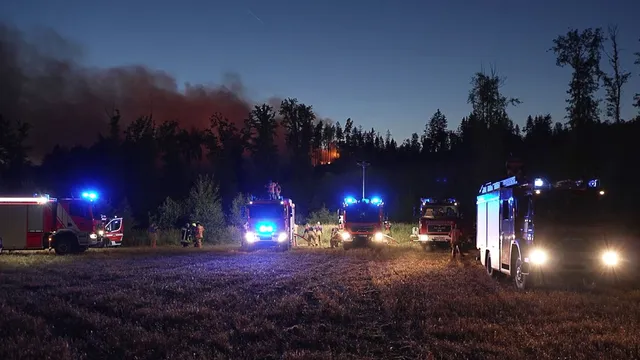 Waldbrände in Deutschland und der Schweiz: Evakuierungen vorbereitet, Glutnester gelöscht
