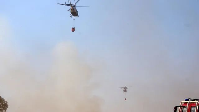 Waldbrände in Eifel und Rheinland-Pfalz: Rekordbrand und extreme Trockenheit