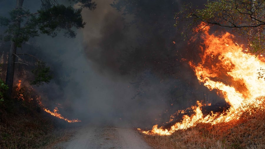 Waldbrände in Europa: Massenevakuierungen in Deutschland und Südeuropa