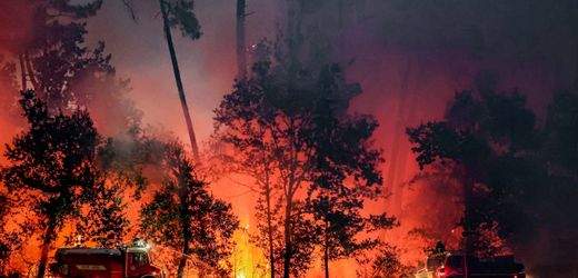 Waldbrände in Frankreich: Über 200.000 Menschen evakuiert und Tour de France-Etappe verkürzt