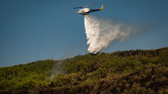 Waldbrände in Spanien und Griechenland lösen Evakuierungen aus