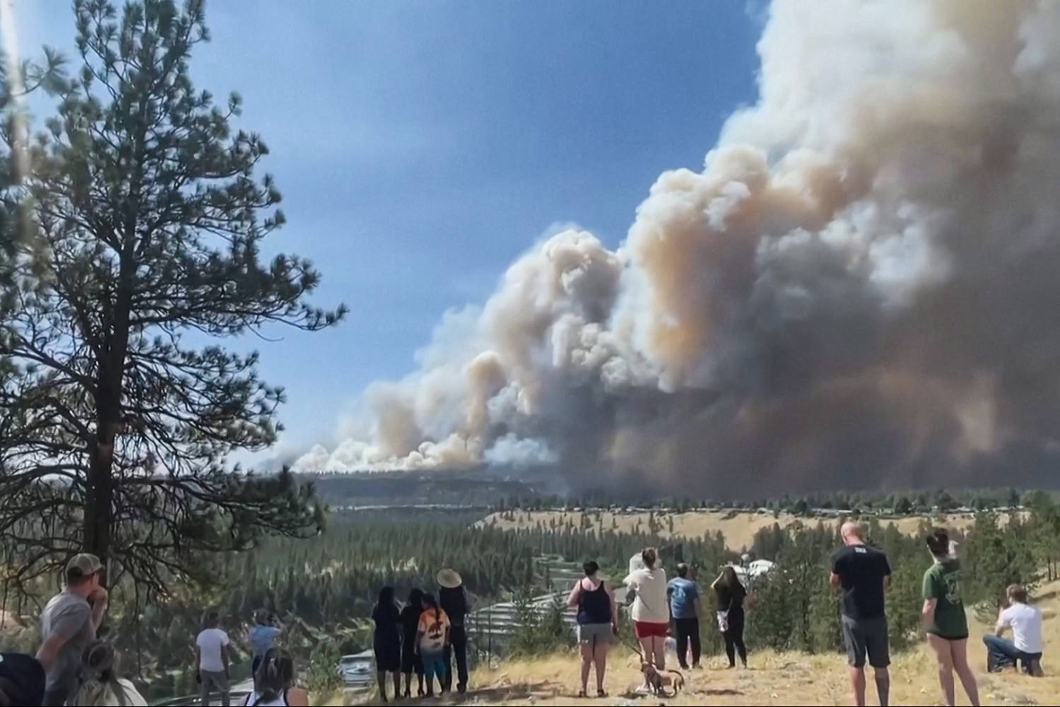 Washington Wildfires Damage Hundreds of Structures, Force Evacuations
