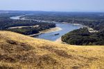 Wasserknappheit an der Donau und ungewöhnliche Fischfunde