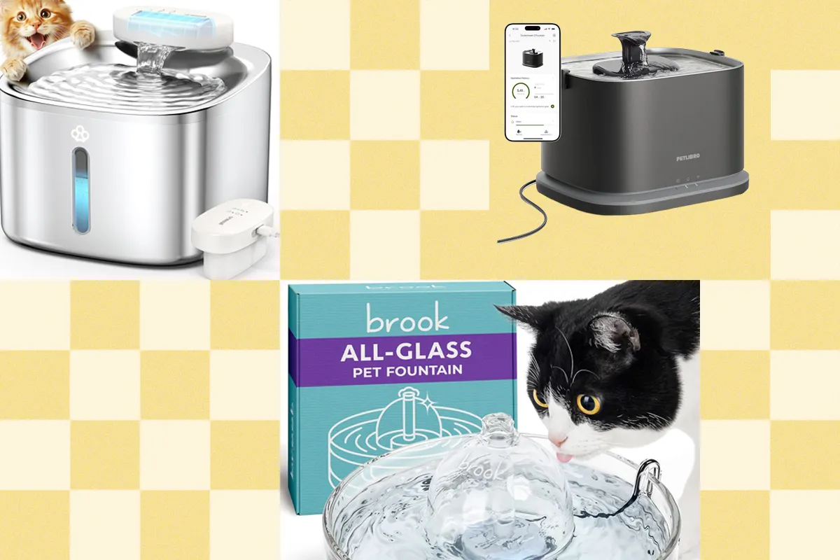 Wired Names Petlibro, Petkit, Oneisall as Top Cat Water Fountains for 2026