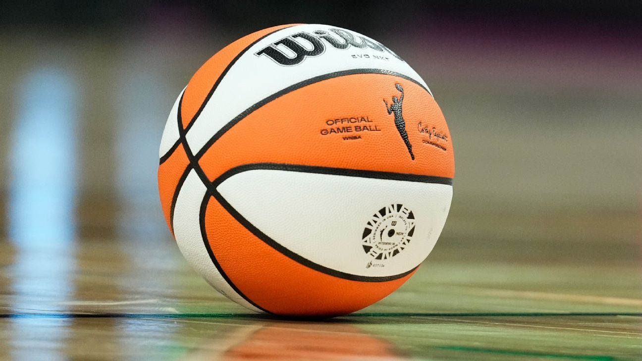 WNBA, Players' Association Address Social Media Abuse