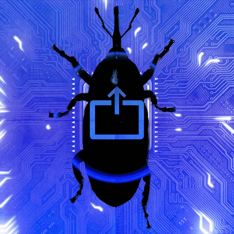 Zoom-Bug beim Bildschirmteilen ermöglichte Remote-Übernahme von Geräten