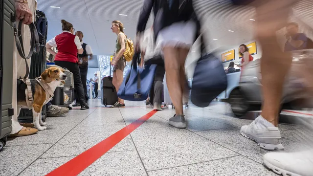 Zwei Todesfälle durch Malaria am Frankfurter Flughafen – Sechs Mitarbeiter betroffen