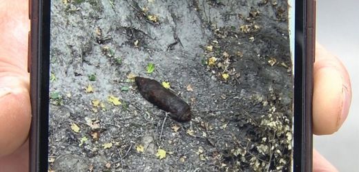 Zweiter Weltkriegs-Blindgänger bei Kartoffelernte und in Städten entdeckt