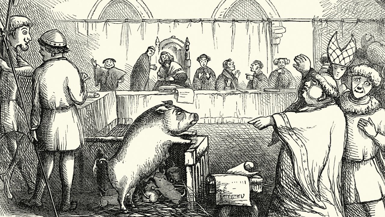 Animal Trials Across Europe From Late Middle Ages to 18th Century