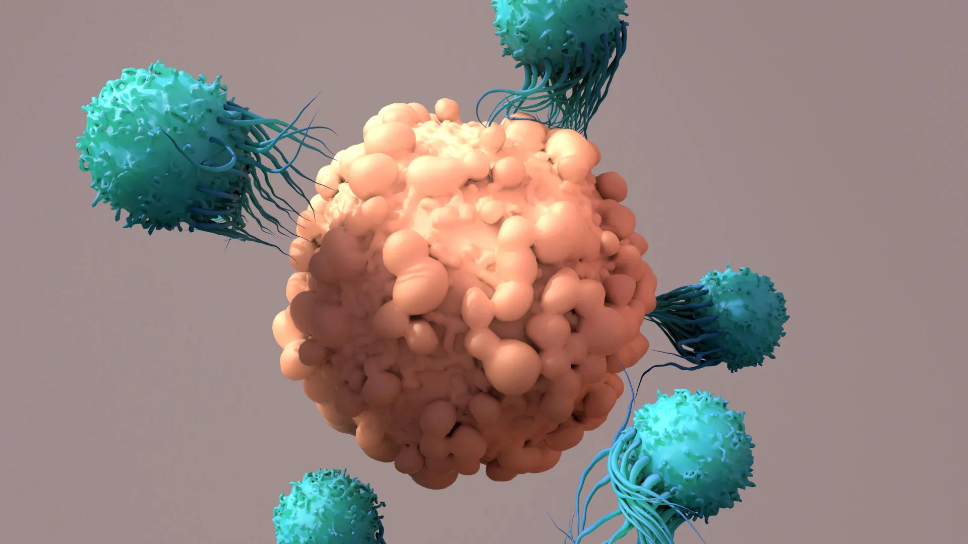 Protein NFIL3 Found to Hinder CAR T-Cell Cancer Therapy