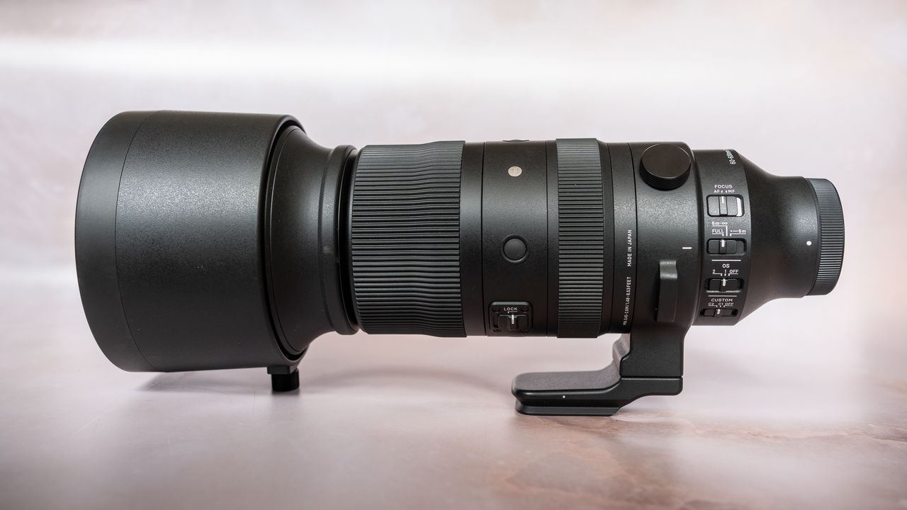Sigma 60-600mm Sport Lens Review: Versatility vs. Weight